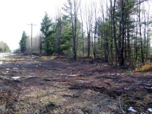 wooded lot for sale auction