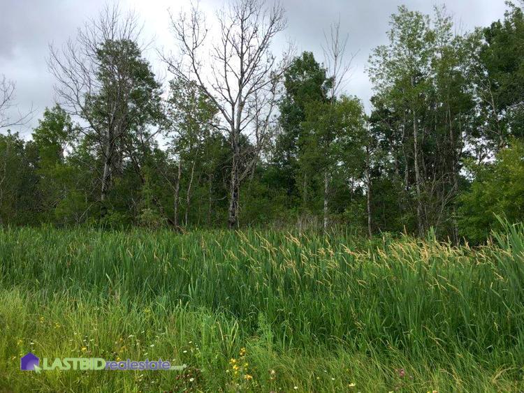 Own Land in Michigan’s Upper Peninsula