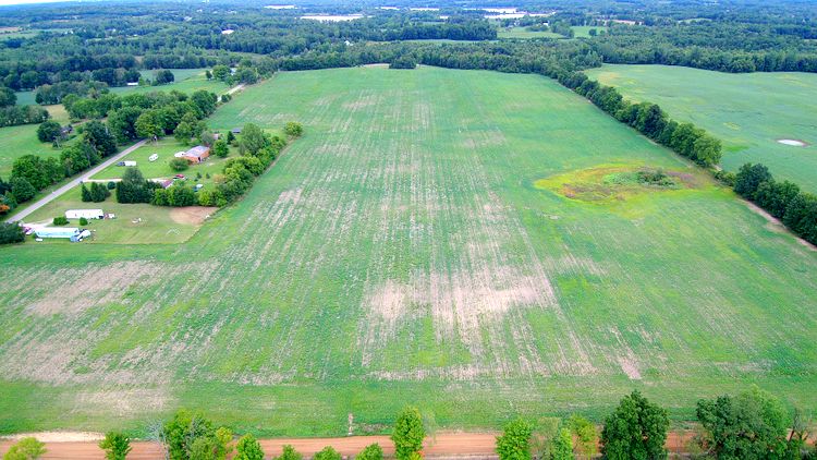 farmland