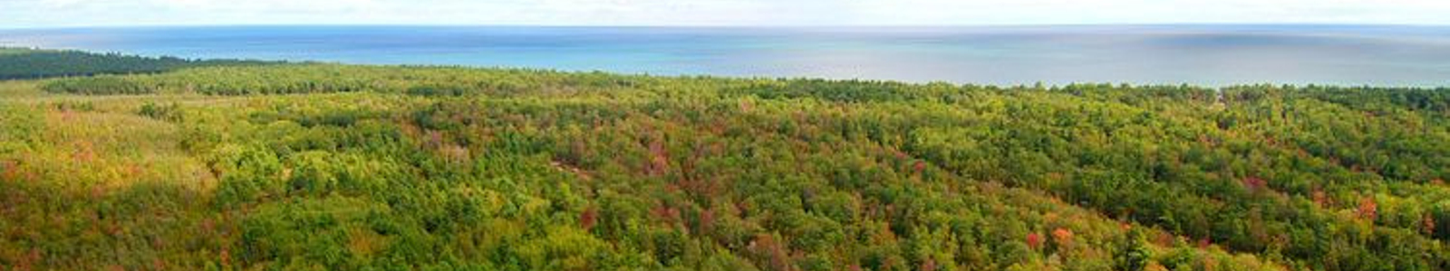 70 Wooded Acres in Oscoda, Michigan