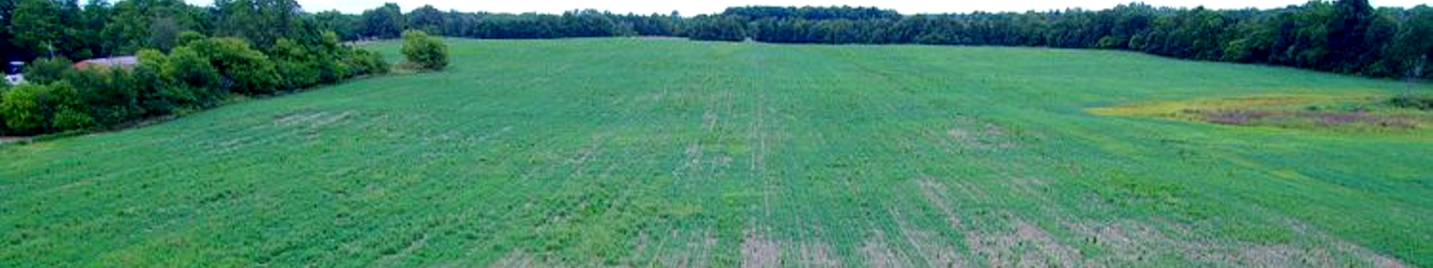 75 Acres of Farmland in Cambria Twp., MI