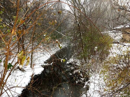 residential land flint mi